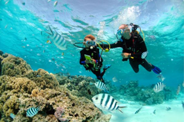 Dive N' Smile Bora-Bora Scuba Diving